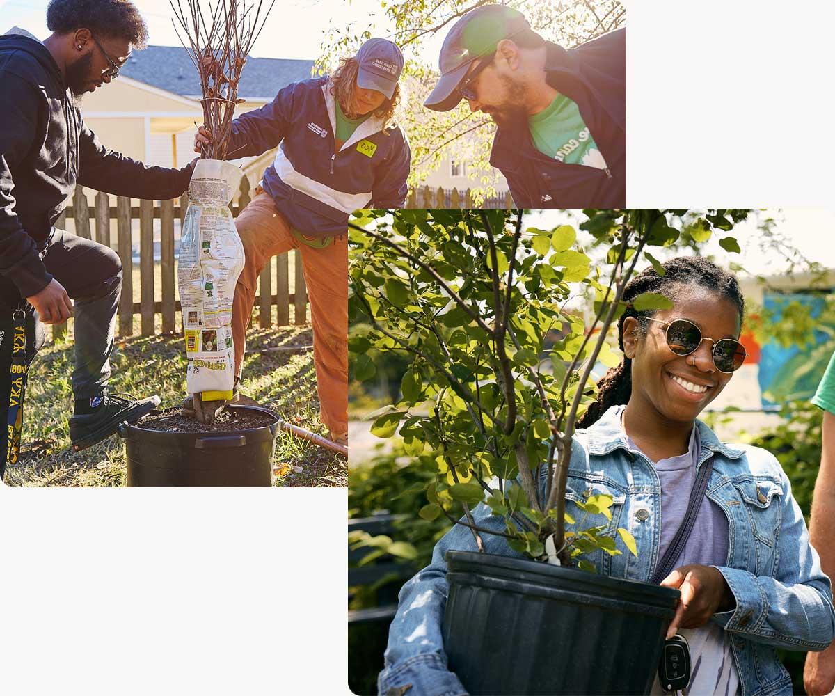 community members with distribution tree and tree planting partners at a planting